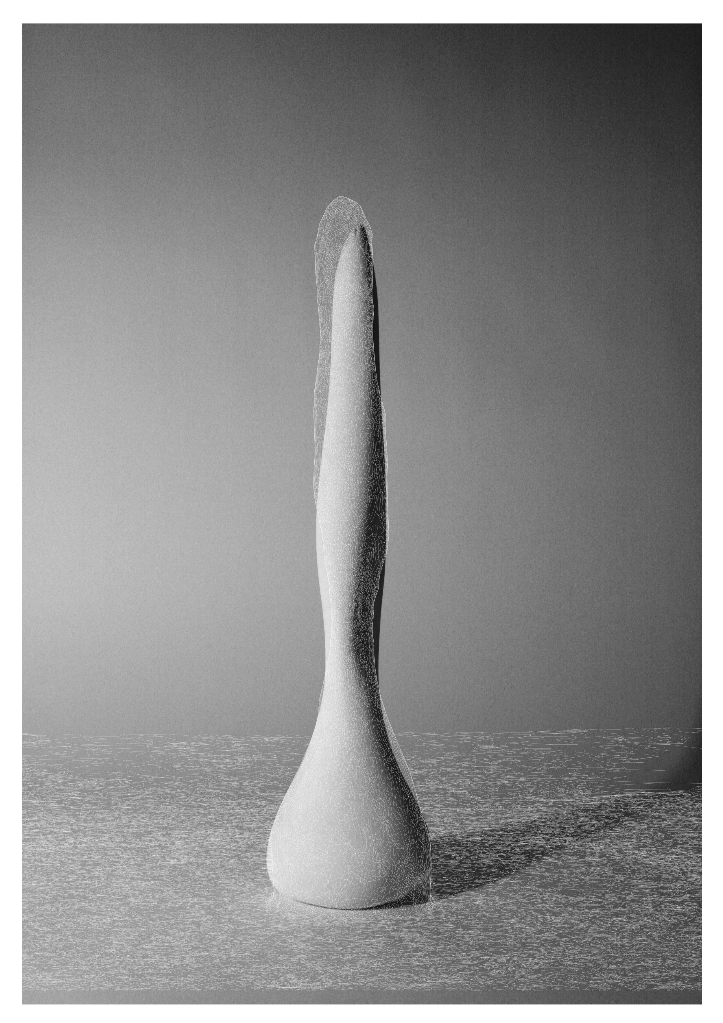 Column 01, scan-photo / elevation