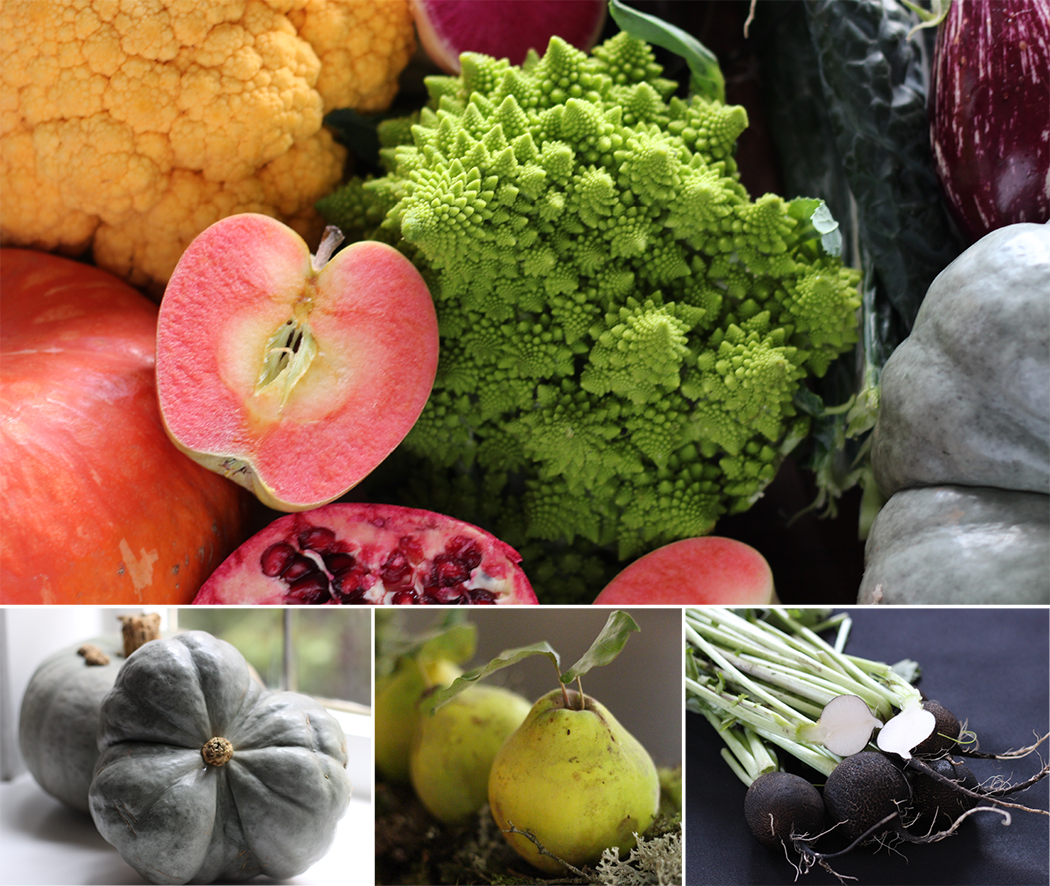 Farmers Market haul in autumn