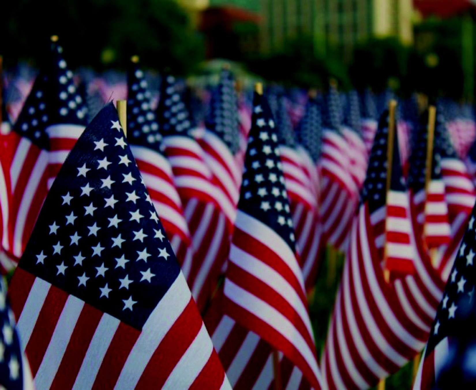 Veterans+Day+Cards+2018.jpg