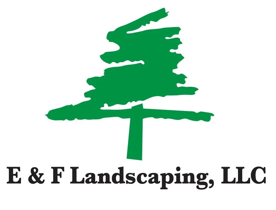 E&F LOGO CROP.jpg