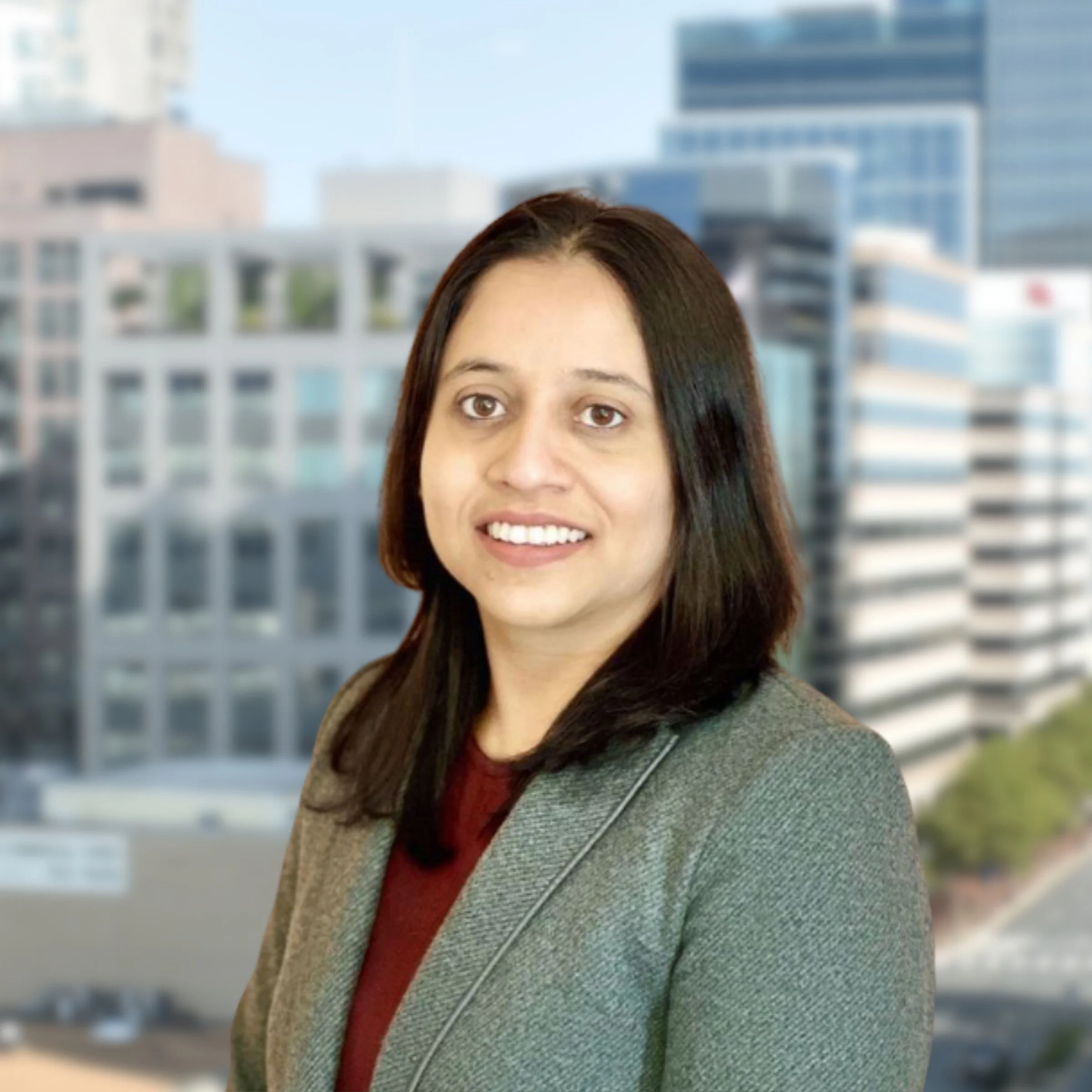 <p><strong>Vanaja Shrivastava</strong><br>Senior Project Manager</p>