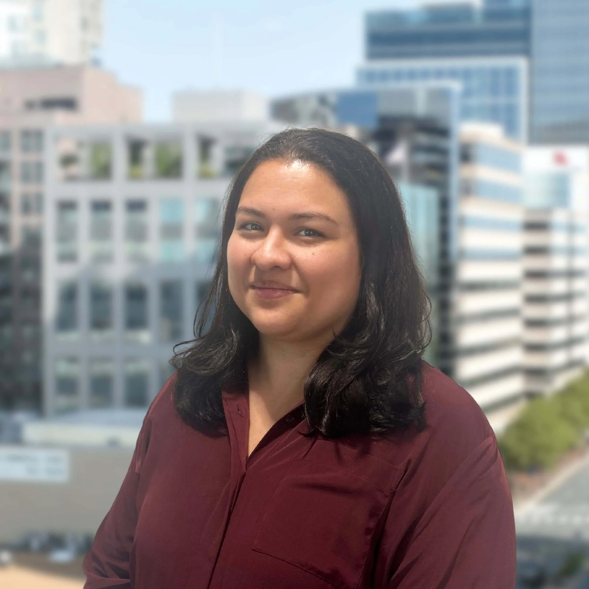 <p><strong>Cynthia Aparicio</strong><br>Project Engineer II</p>