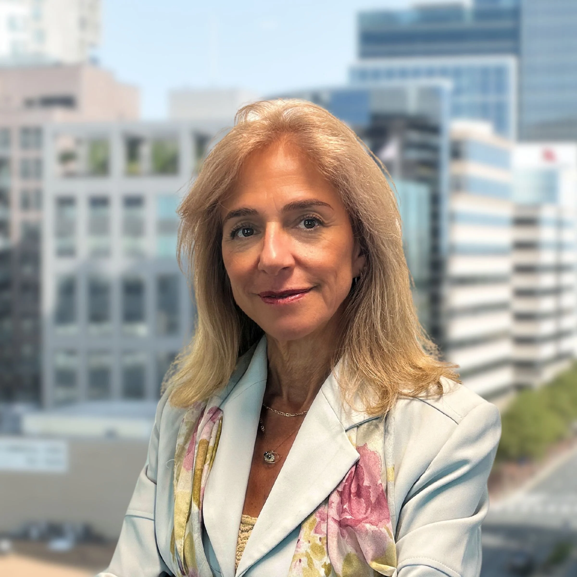 <p><strong>Dina Sheehan</strong><br>Preconstruction Manager</p>