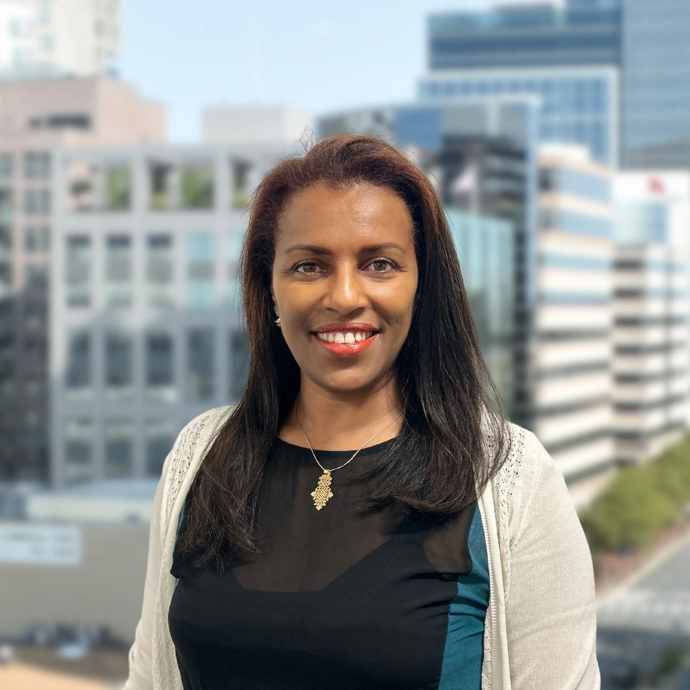 <p><strong>Woubit Gebremichael</strong><br>Senior Project Accountant</p>