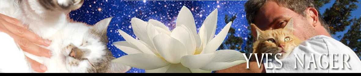 HEader_Sample_6.jpg