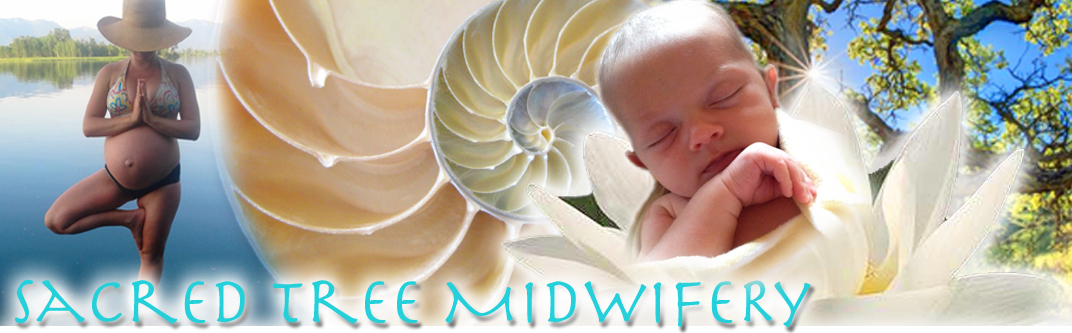Revised-Banner-for-Sacred-Tree.jpg