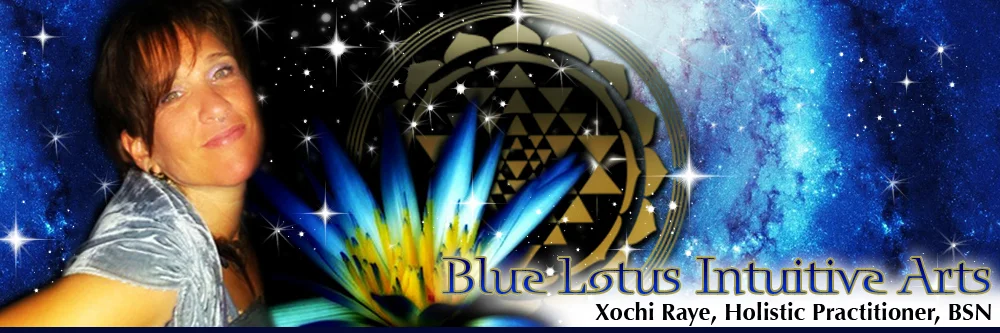 1_Xochi_Banner_Sample.jpg