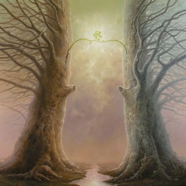 Chrysalis of Relationship