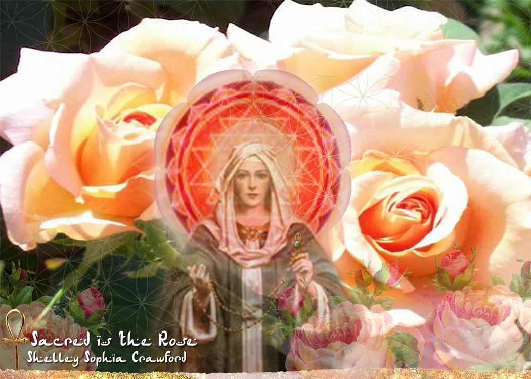 Sacred is the Rose
