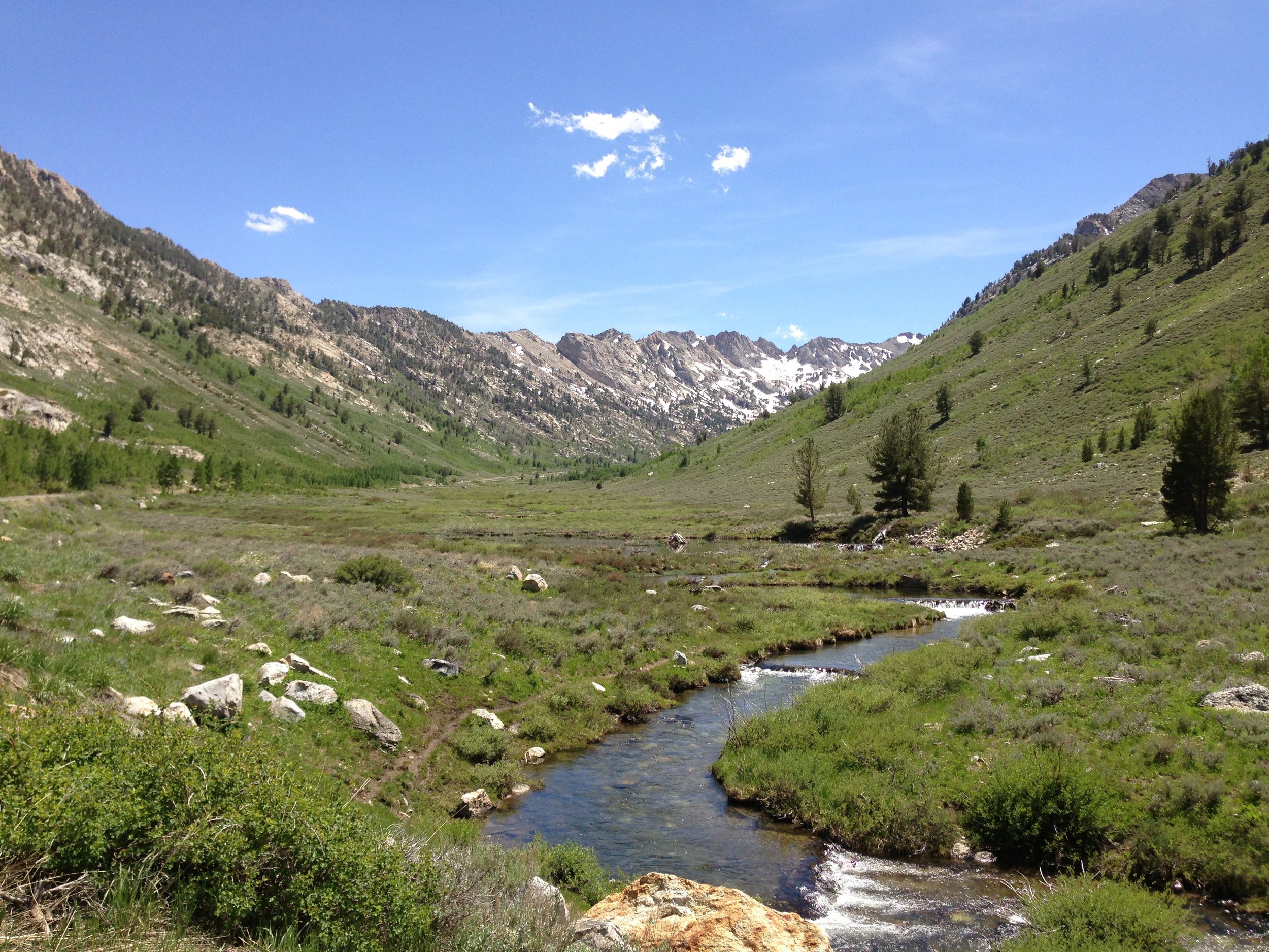 2014-06-23_14_18_53_View_up_Lamoille_Creek_from_the_Terraces_Picnic_Site_in_Lamoille_Canyon,_Nevada.jpg