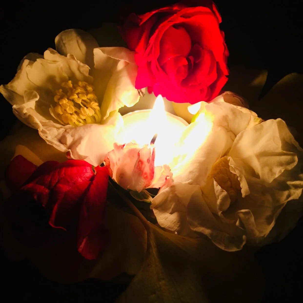 5 Tips for Deepening Your Ancestral Awareness &amp; Connection  