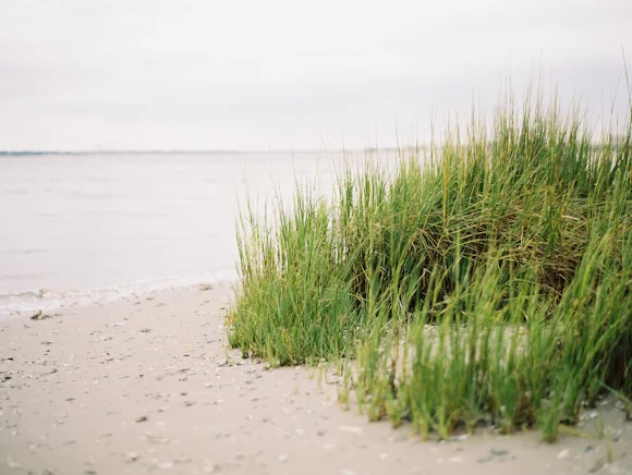 KatieGrantPhotography (7 of 11).jpg