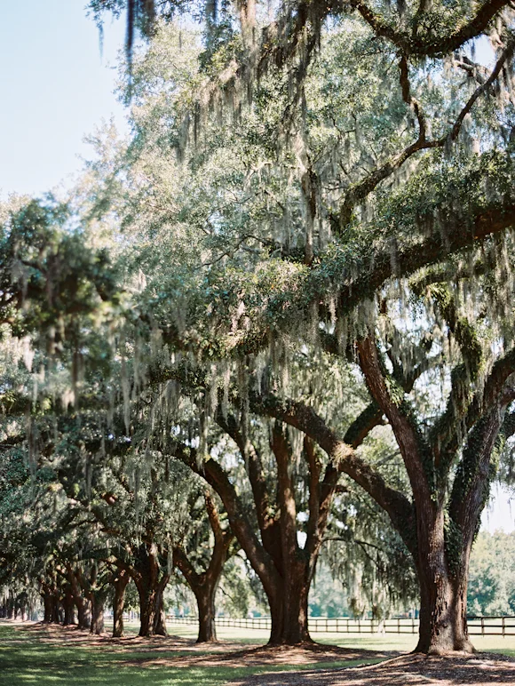 KatieGrantPhotography (23 of 38).jpg