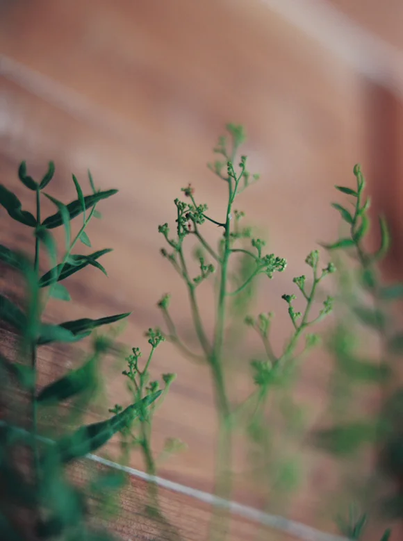KatieGrantPhotography (53 of 144).jpg