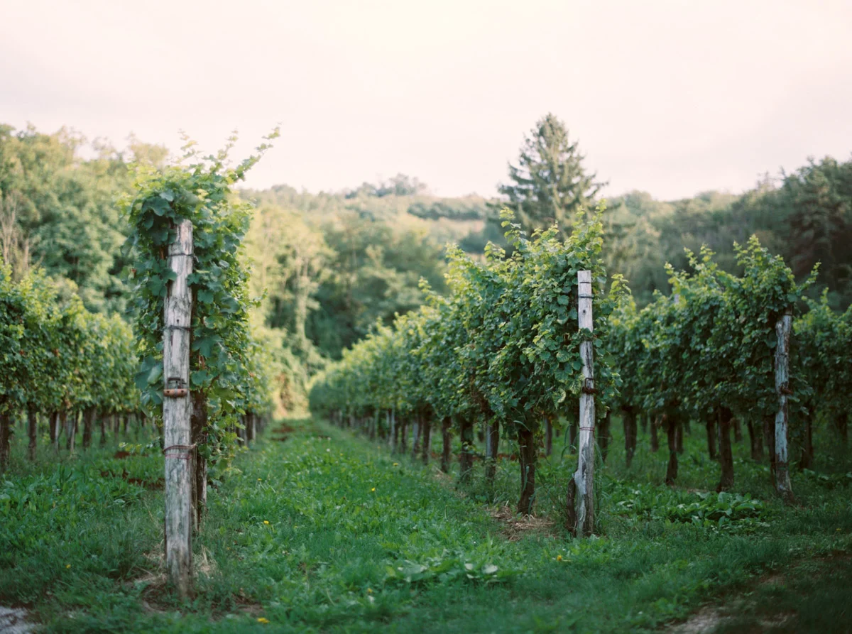 Katie Grant Photography (105 of 149).jpg