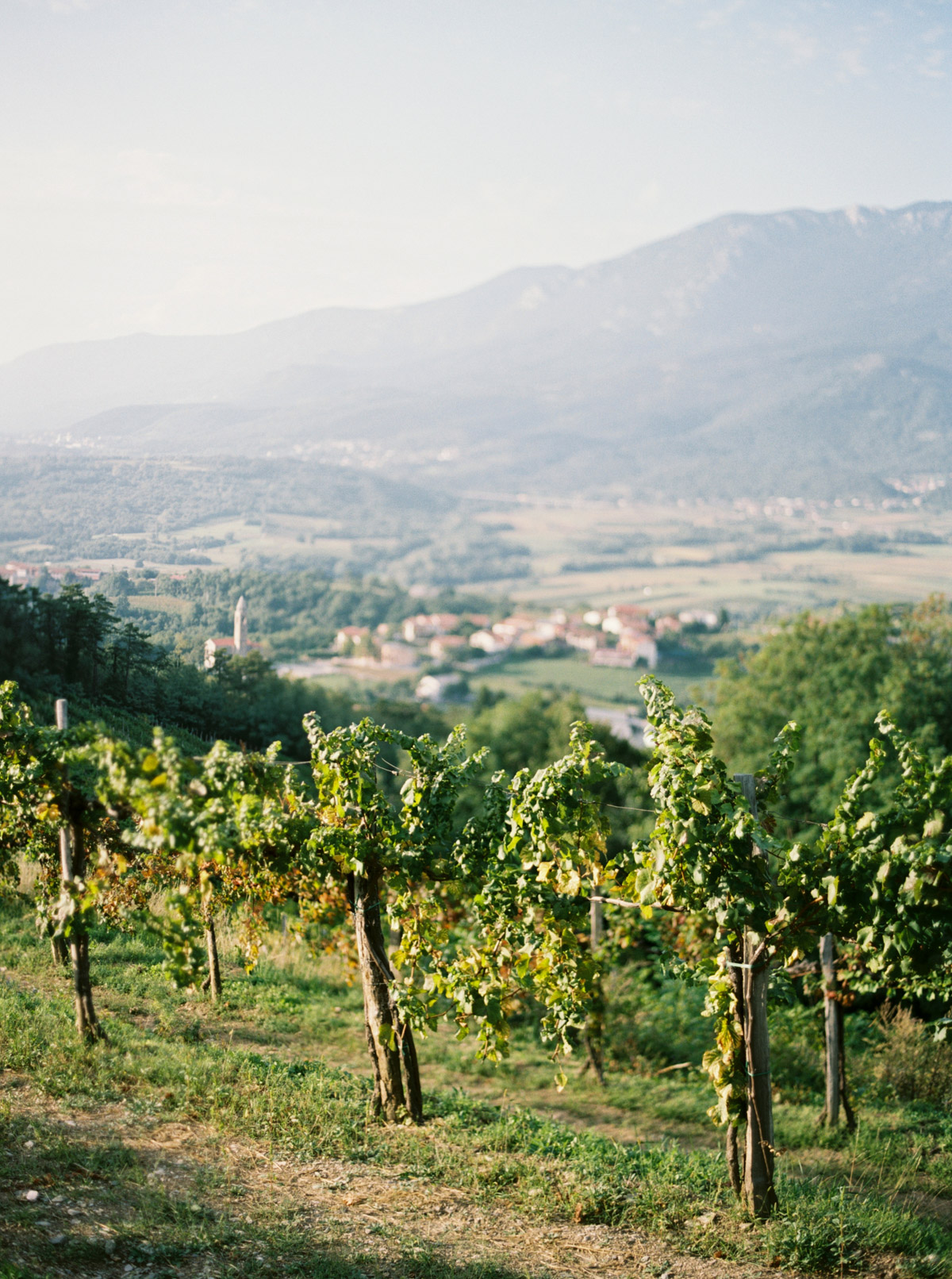 Katie Grant Photography (127 of 159).jpg