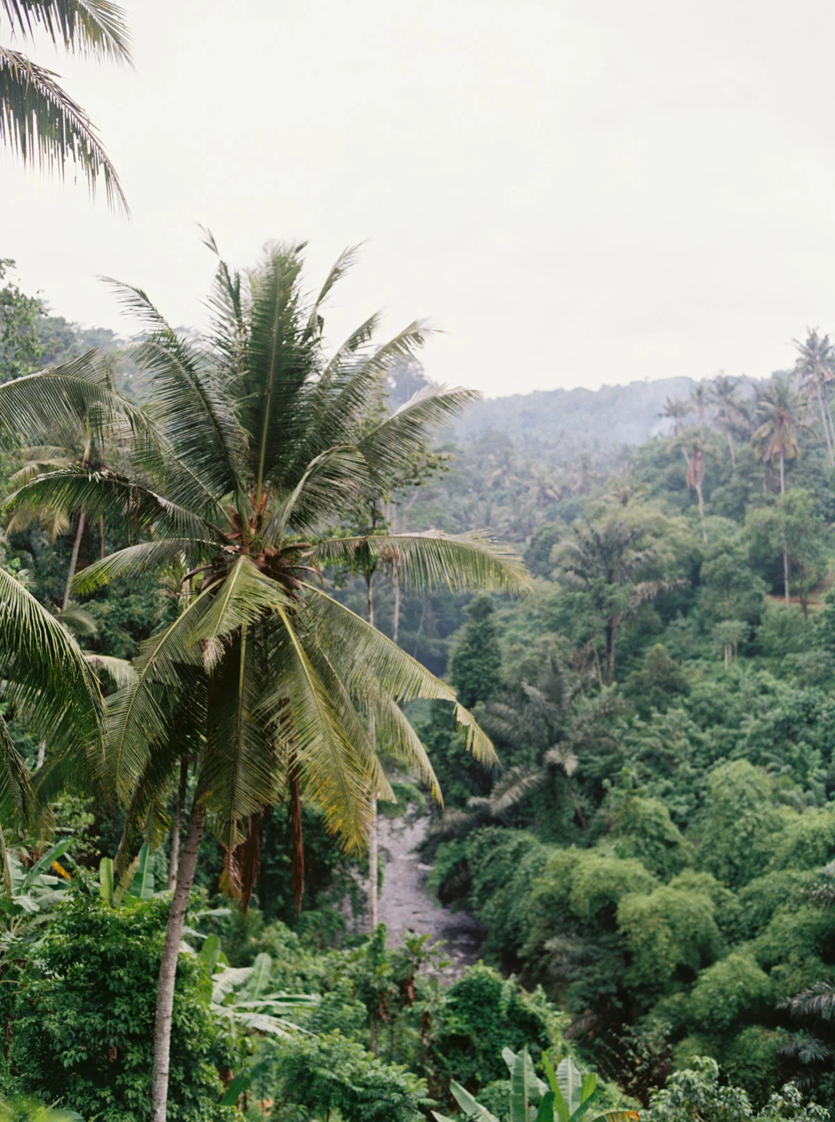 Katie Grant Photography (19 of 52).jpg