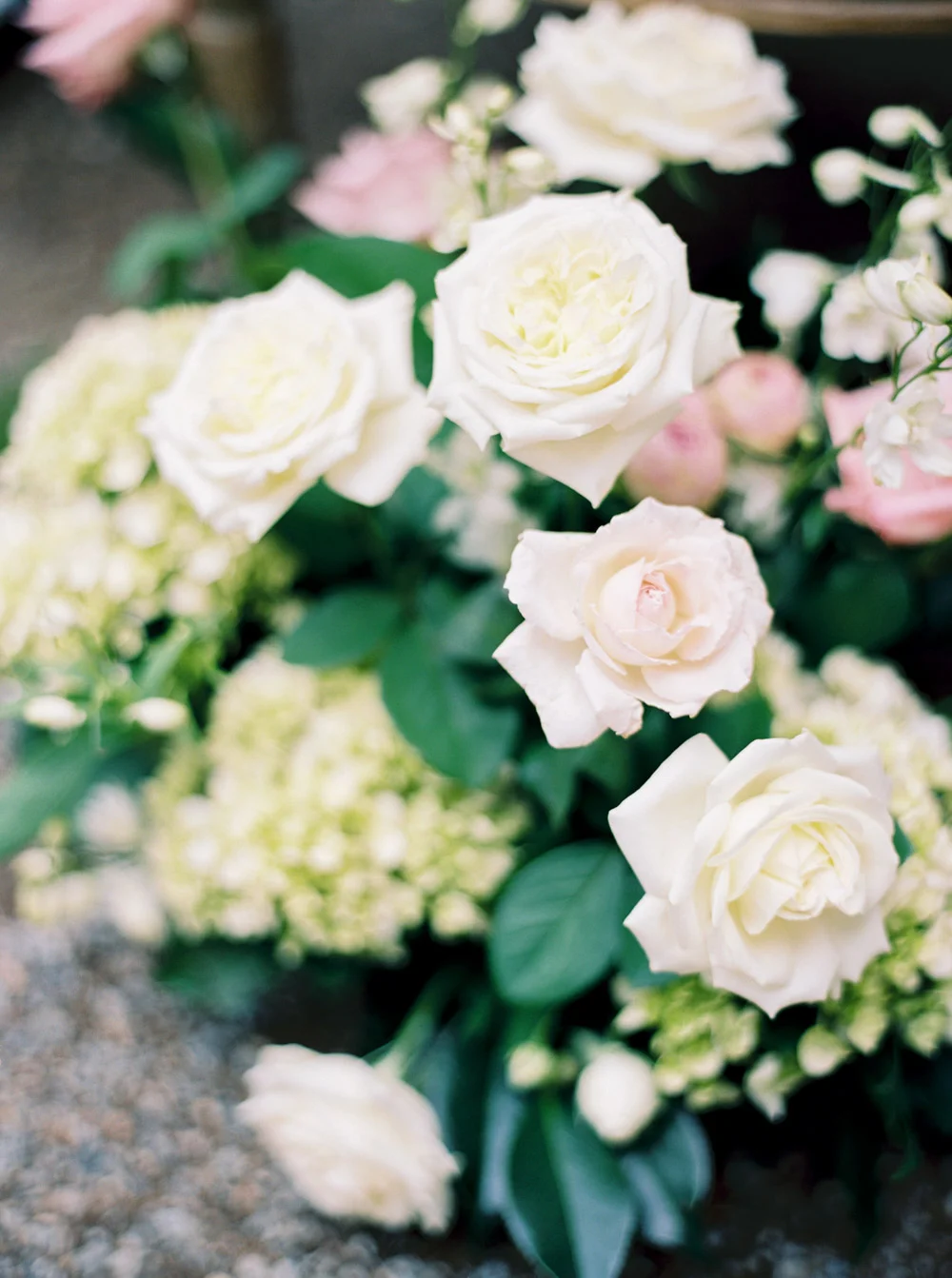 Katie Grant Photography (43 of 129).jpg