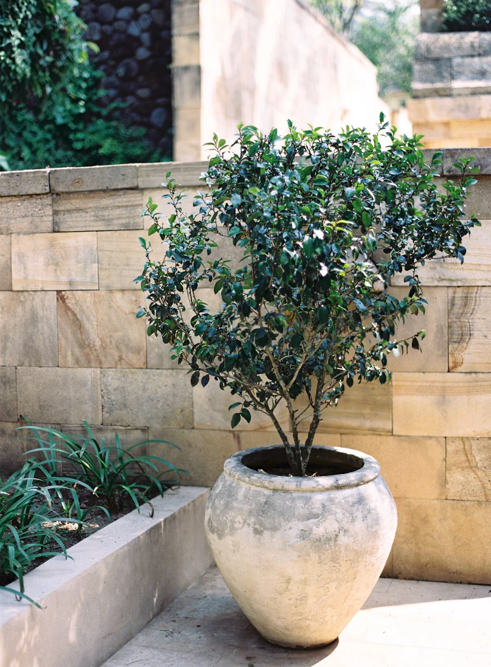 Katie Grant Photography (14 of 75).jpg