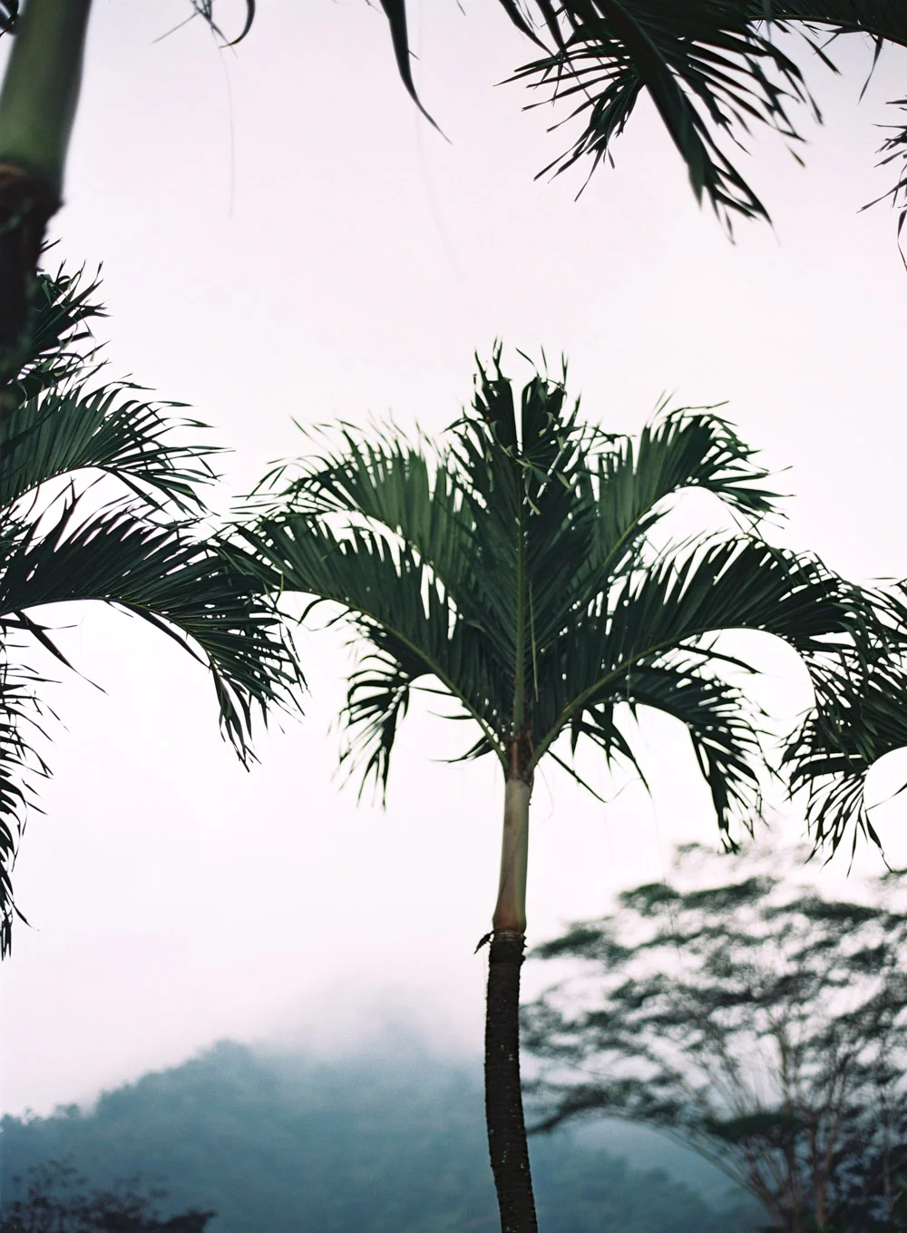 Katie Grant Photography (31 of 75).jpg