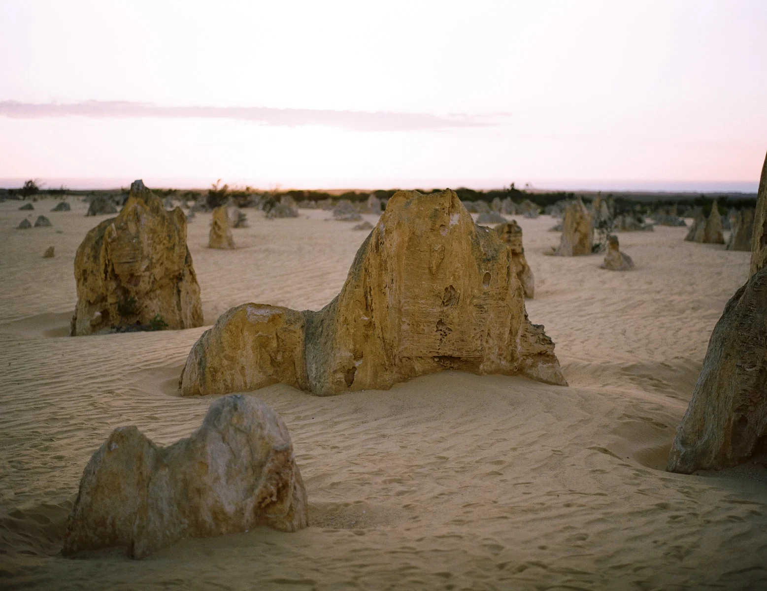 Katie Grant Photography (40 of 73).jpg
