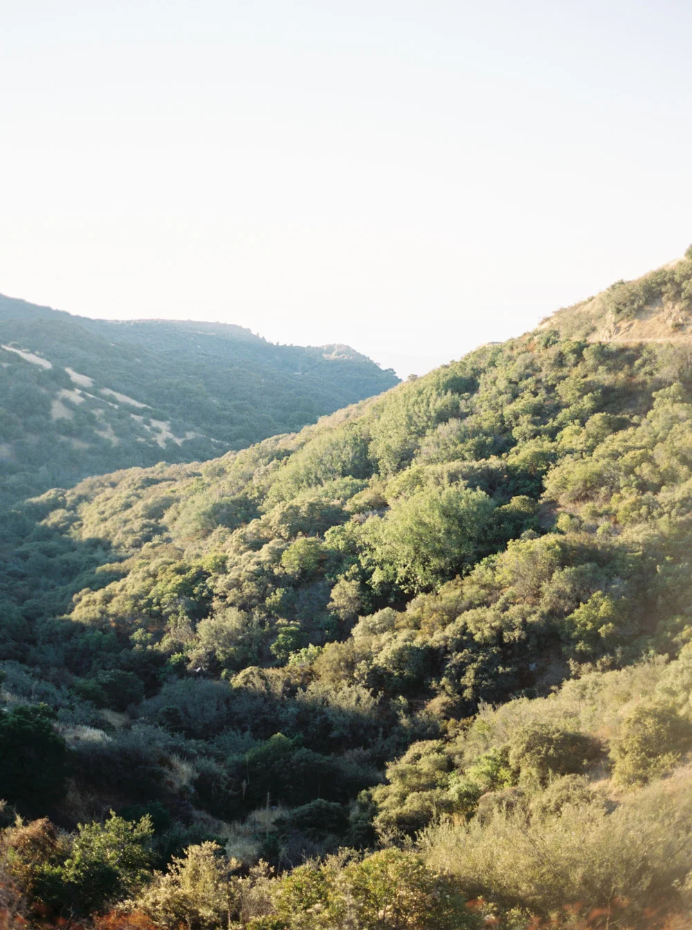 Katie Grant Photography (17 of 400).jpg