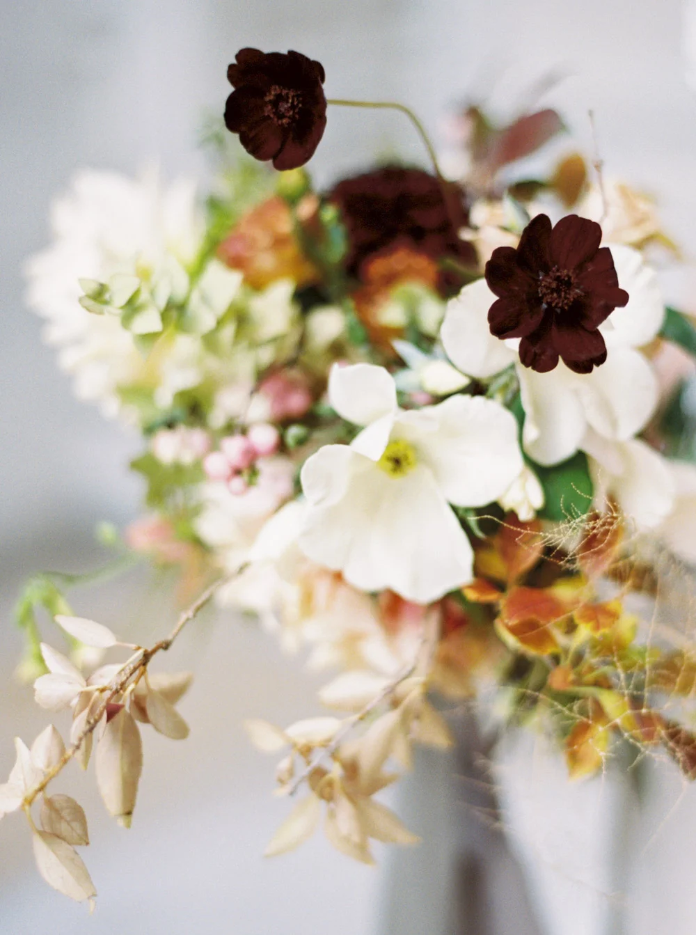 Katie Grant Photography (1 of 1).jpg