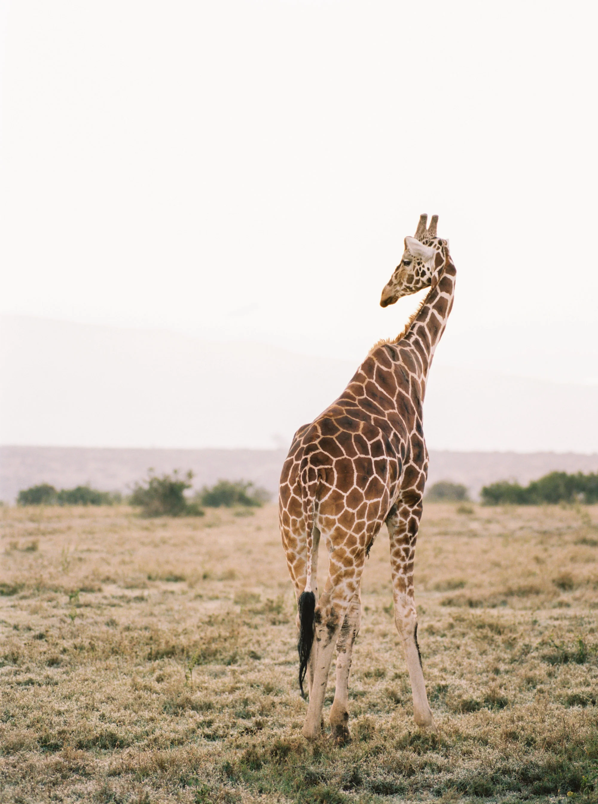 Katie Grant Photography (278 of 680).jpg