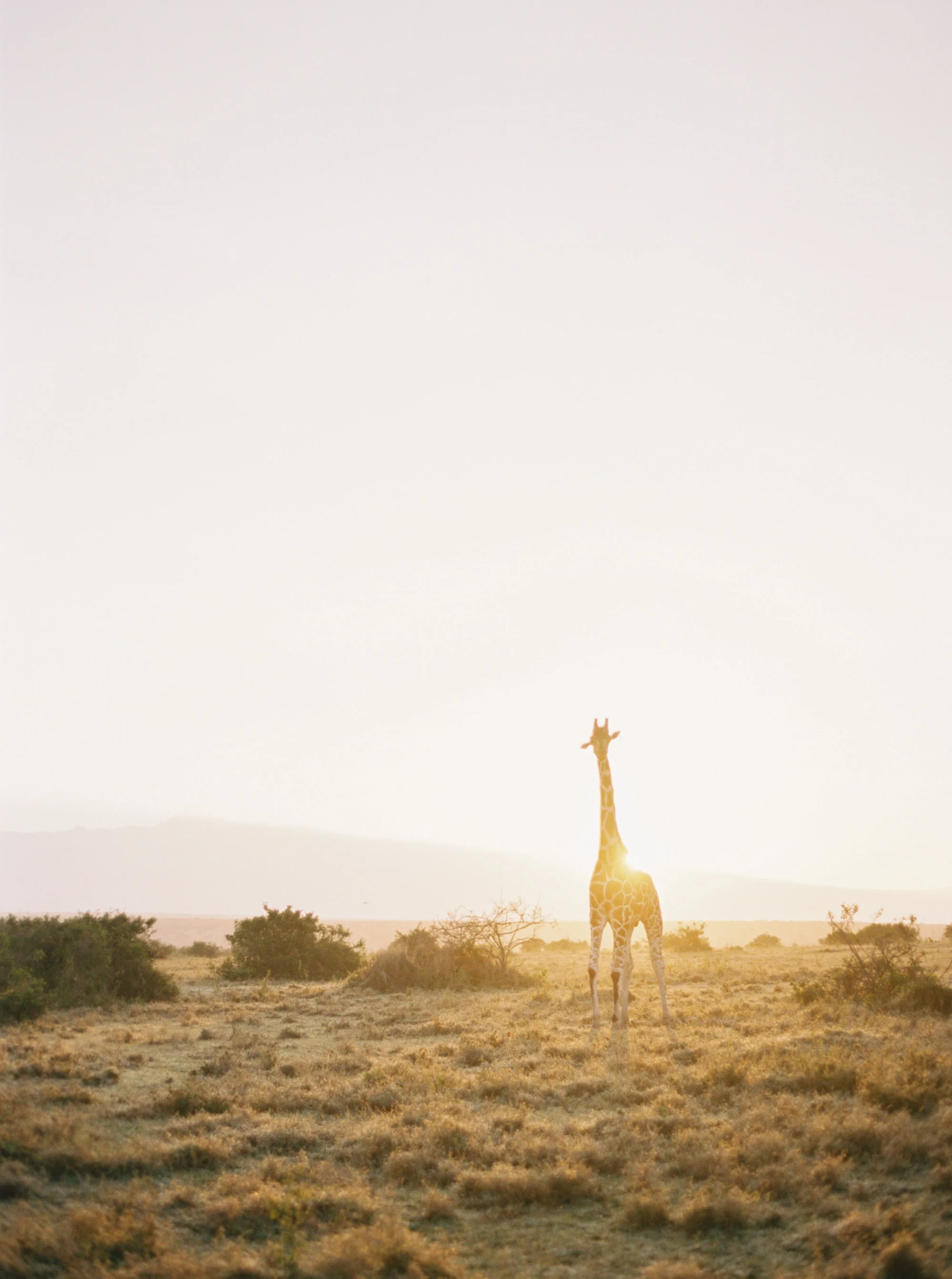 Katie Grant Photography (284 of 680).jpg