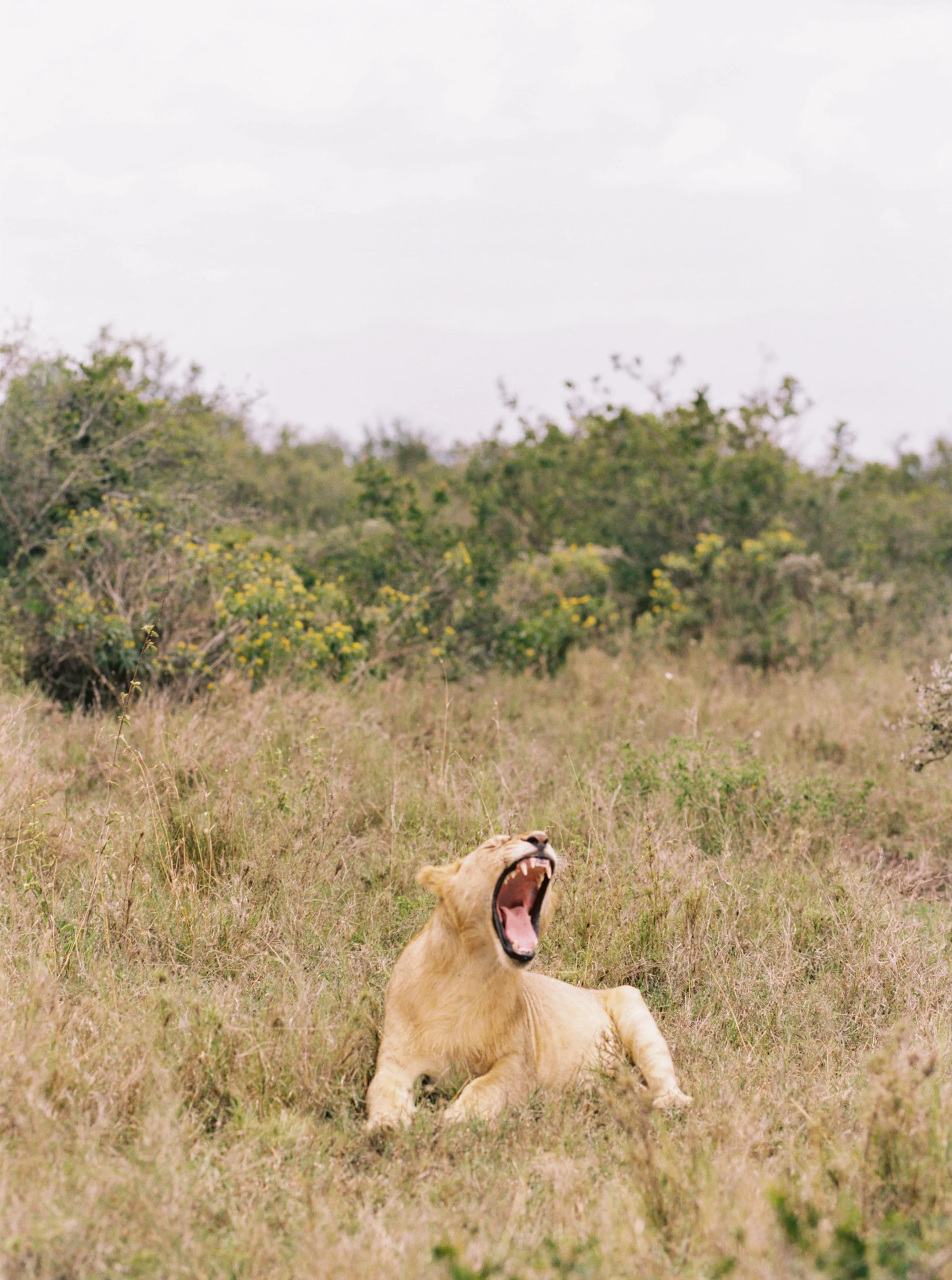 Katie Grant Photography (290 of 680).jpg