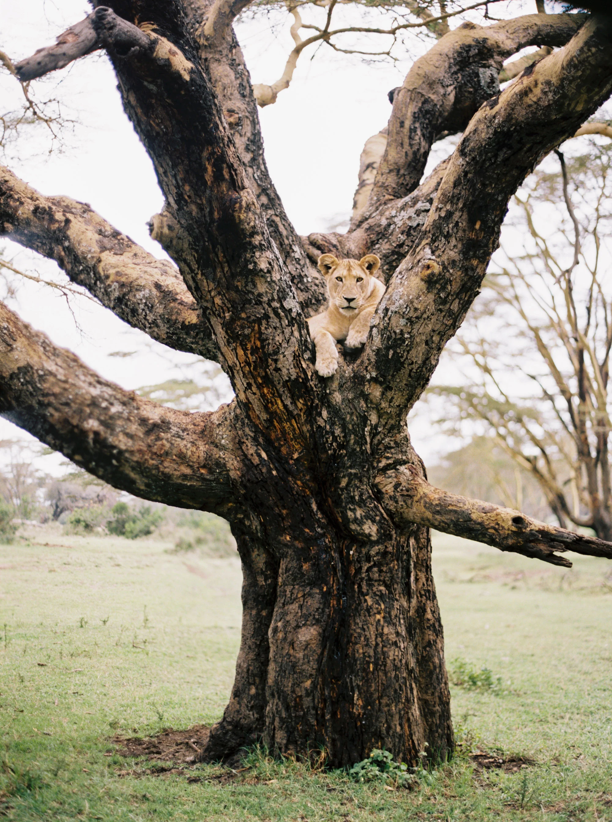 Katie Grant Photography (292 of 680).jpg