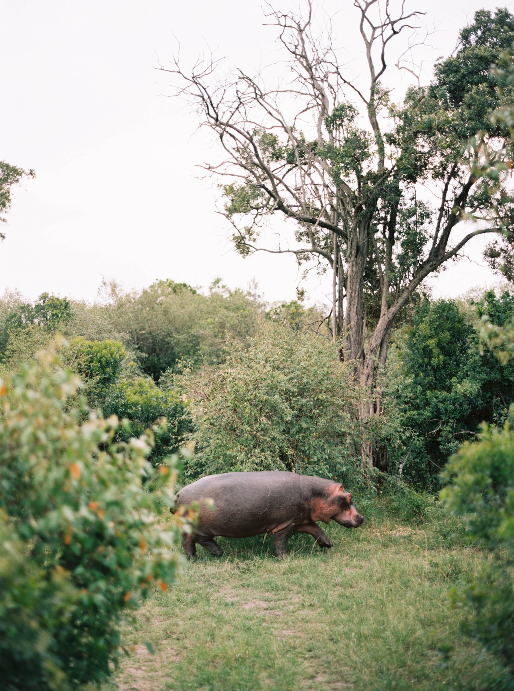 Katie Grant Photography (433 of 680).jpg