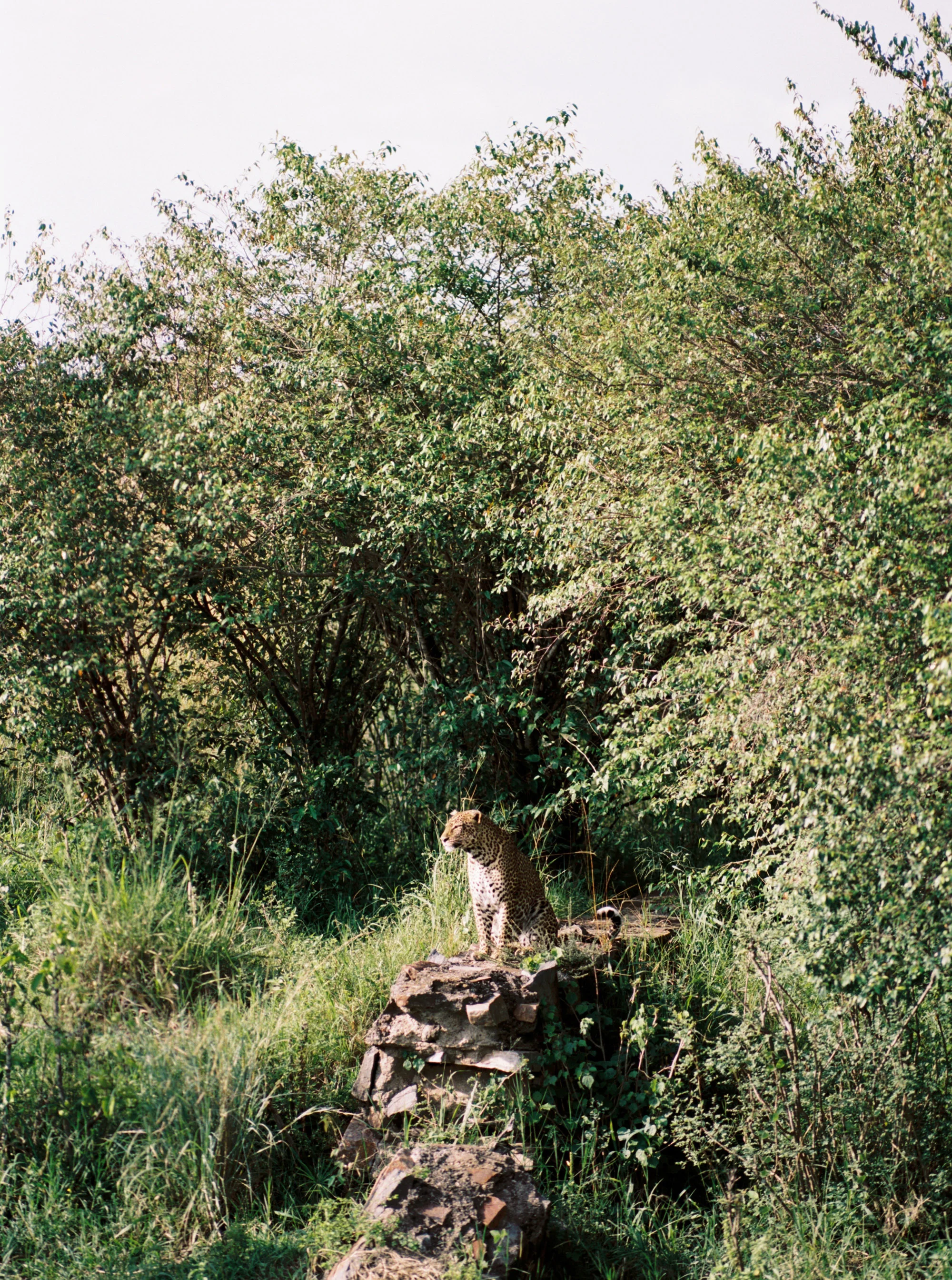 Katie Grant Photography (439 of 680).jpg