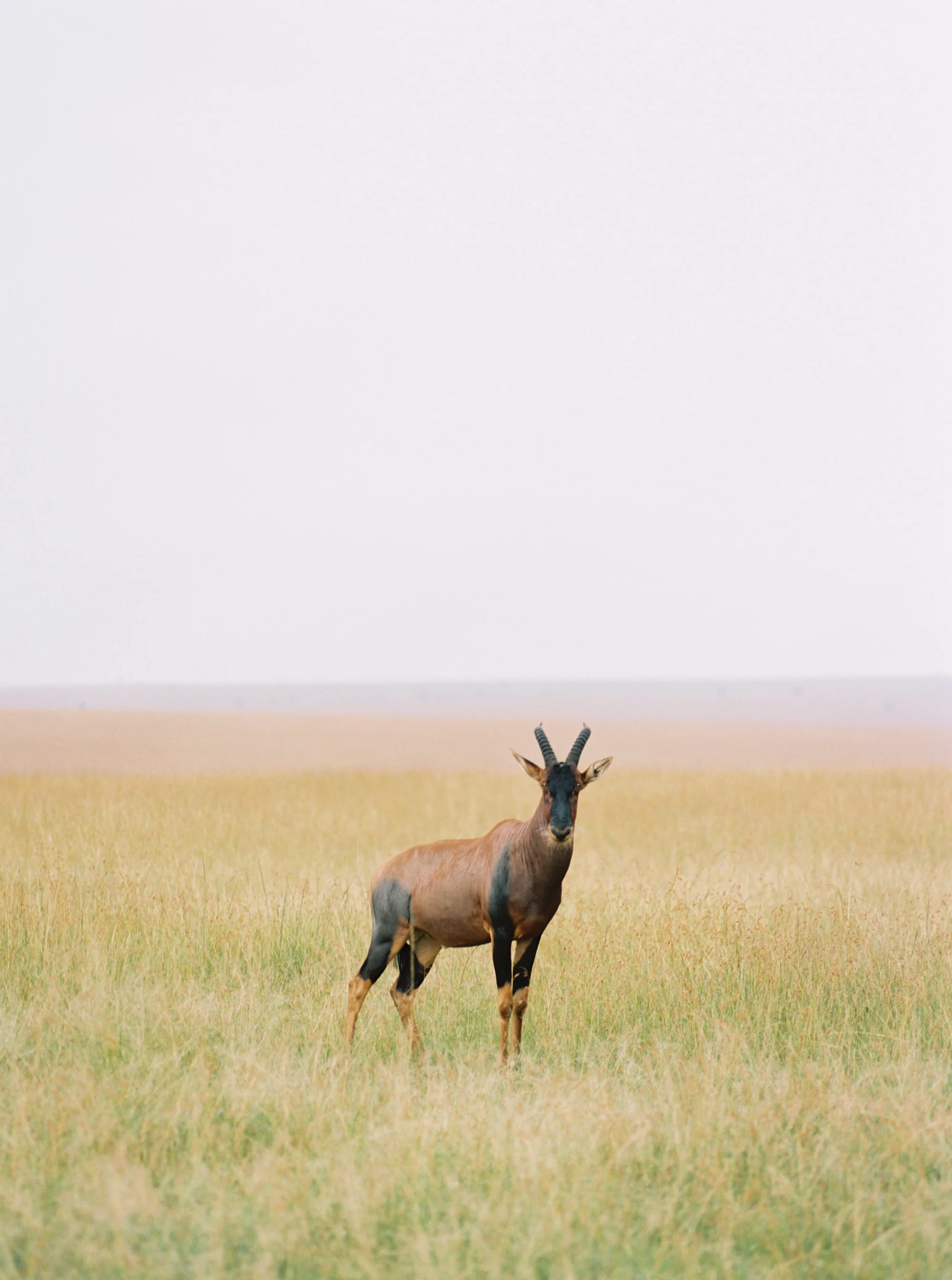Katie Grant Photography (465 of 680).jpg