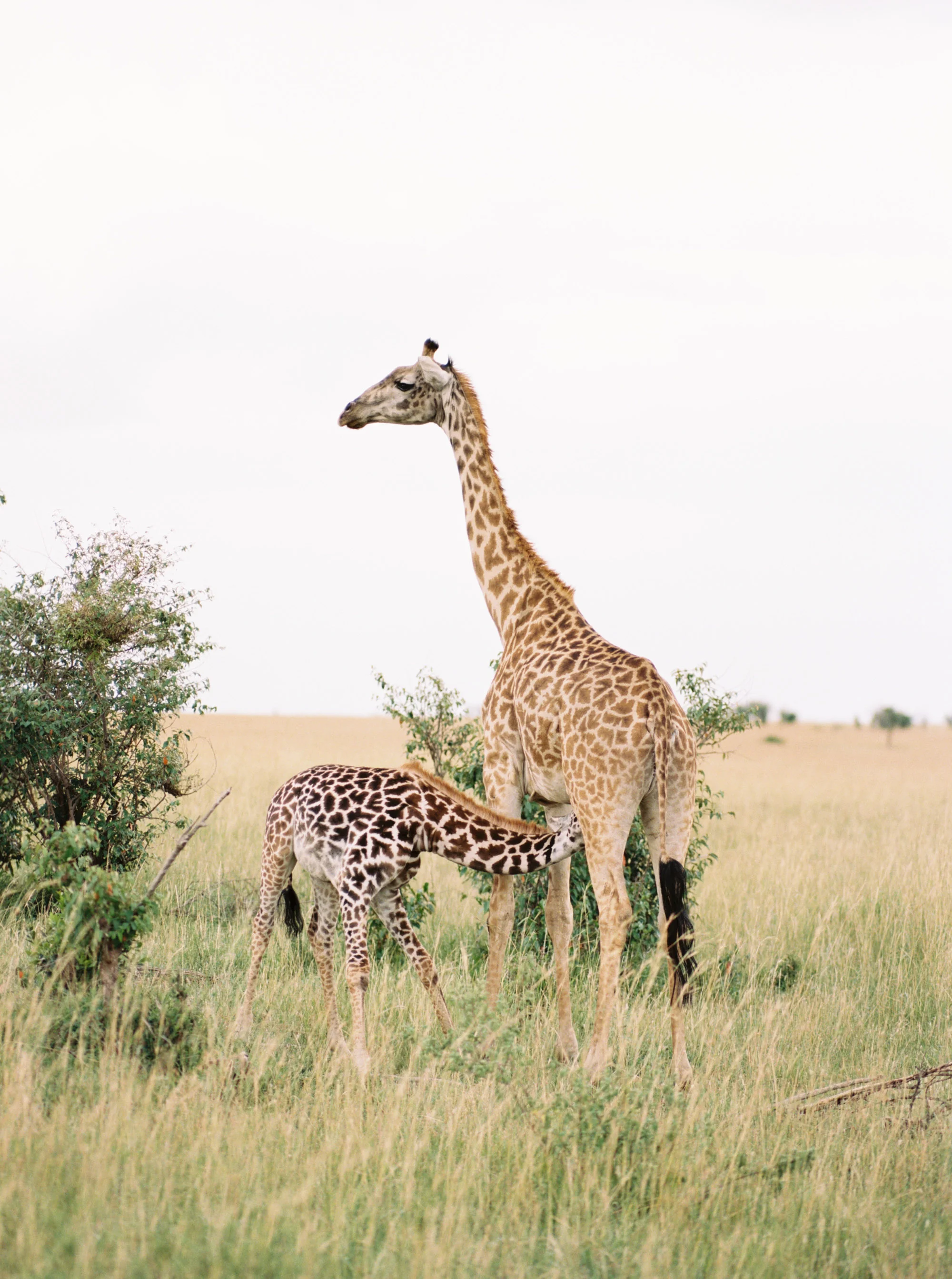 Katie Grant Photography (493 of 680).jpg