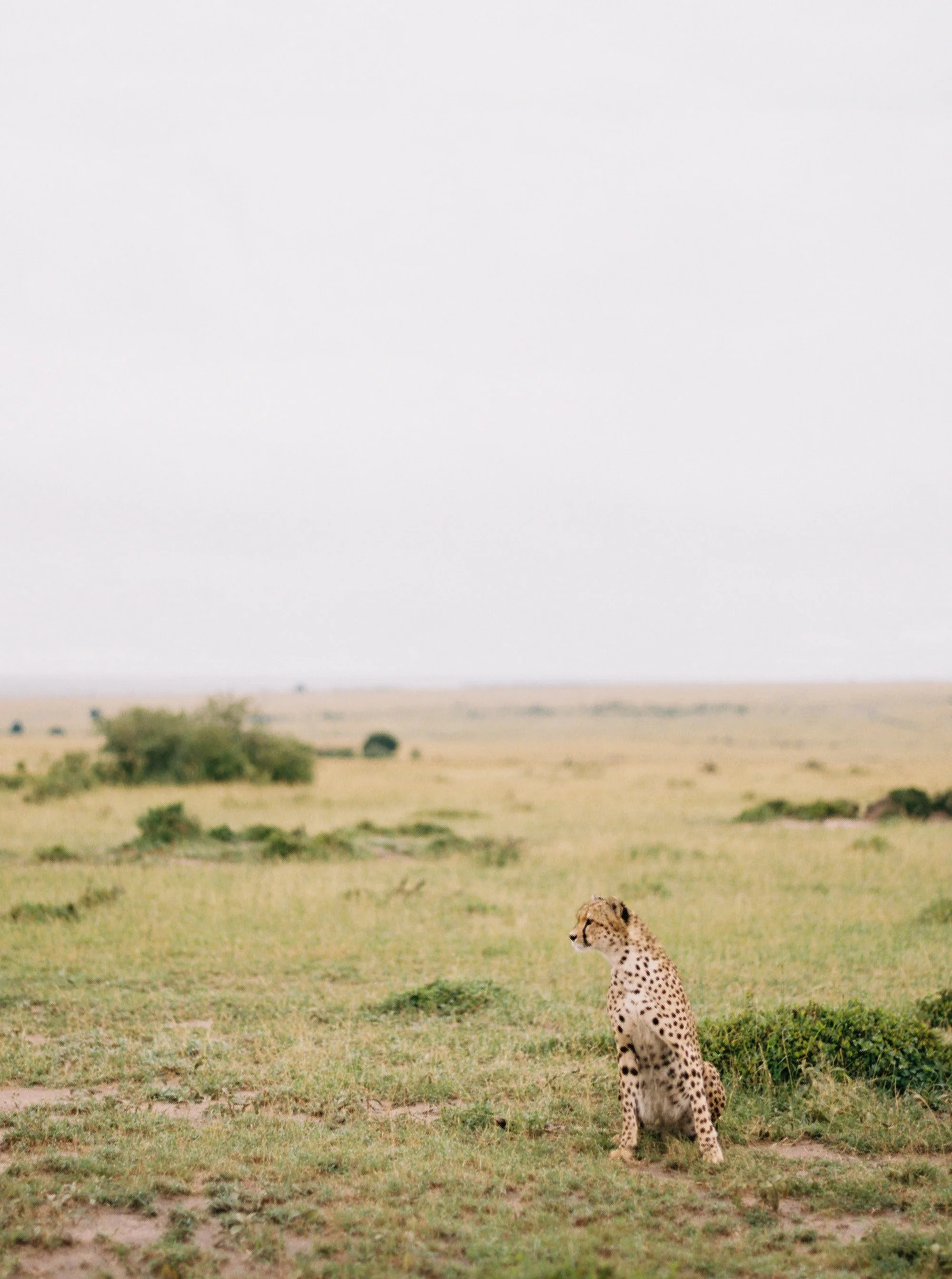 Katie Grant Photography (528 of 680).jpg