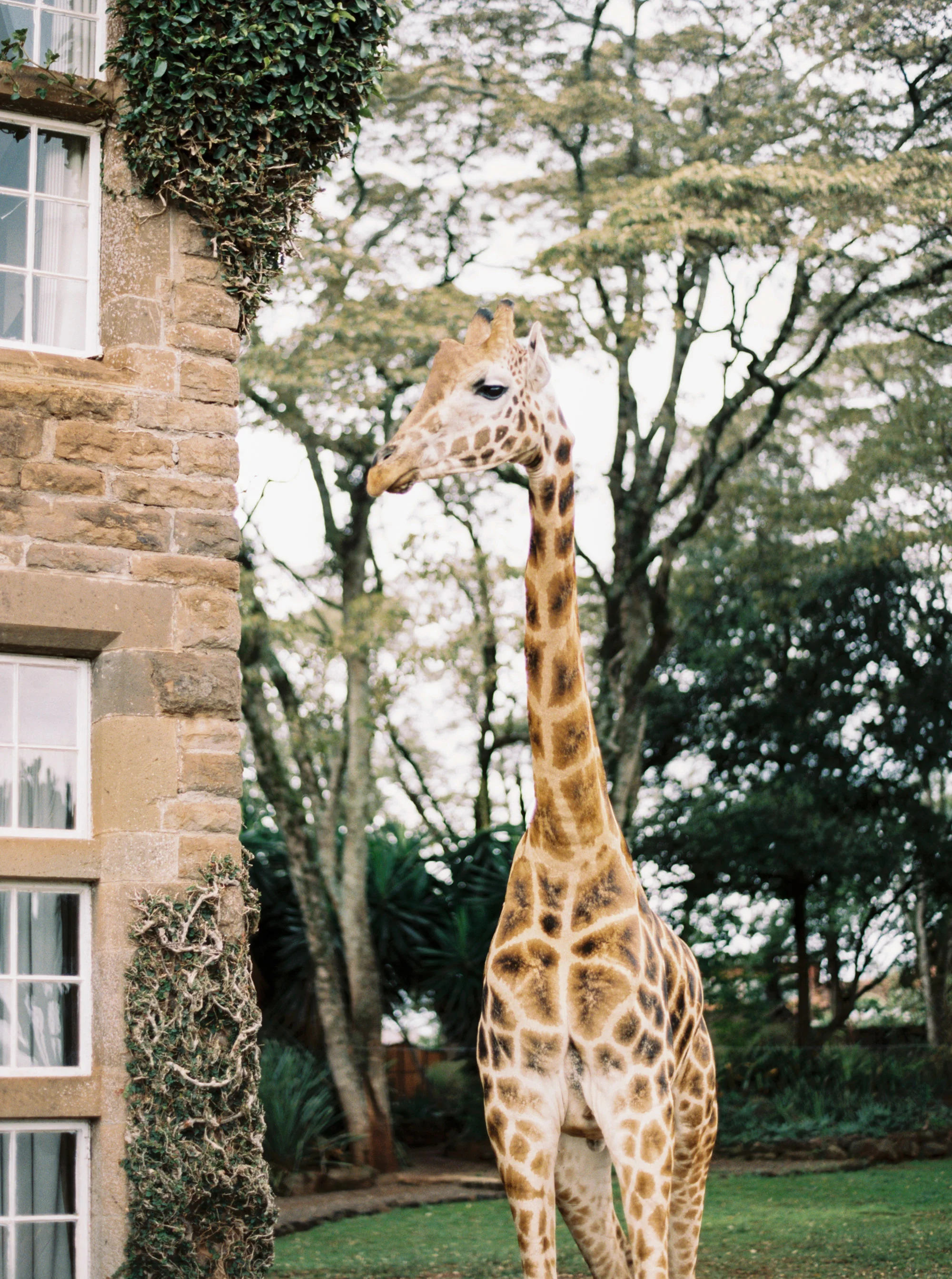 Katie Grant Photography (621 of 680).jpg