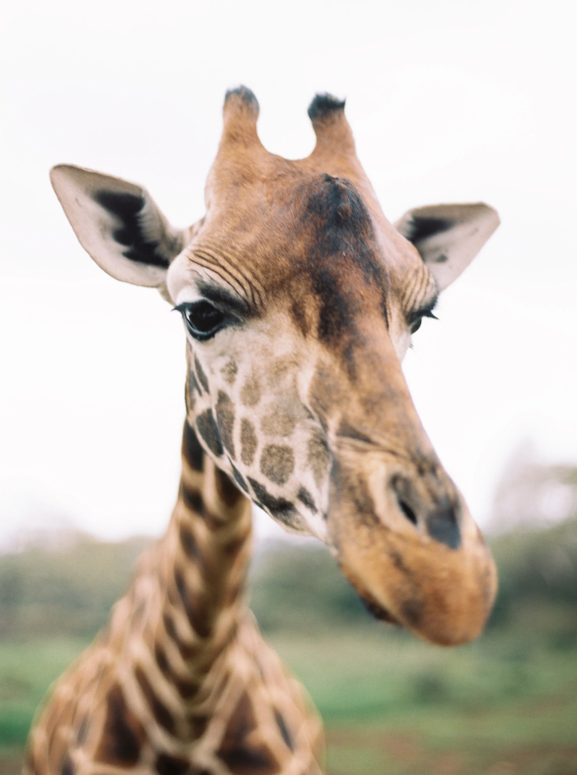 Katie Grant Photography (633 of 680).jpg