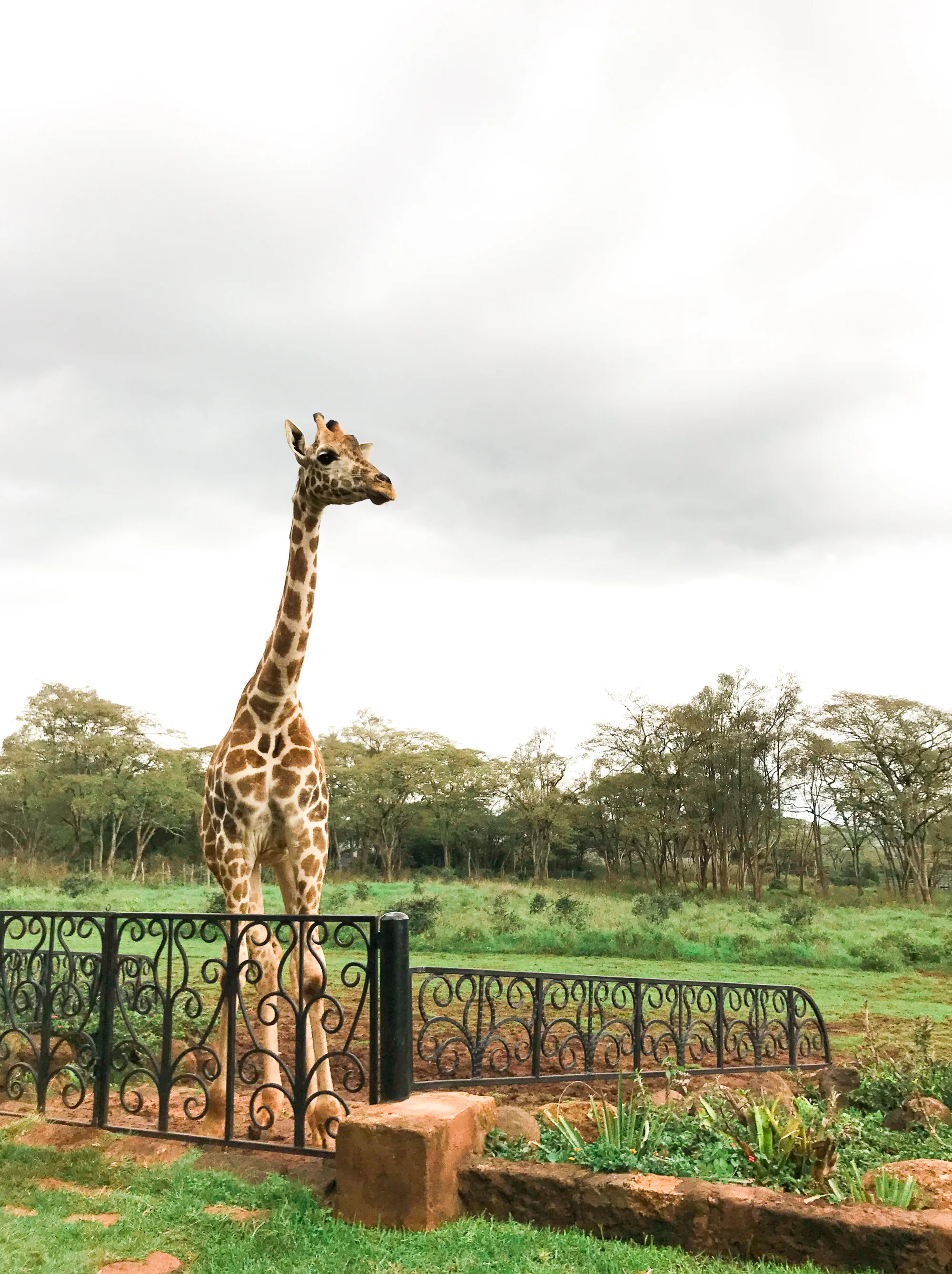 Katie Grant Photography (24 of 40).jpg