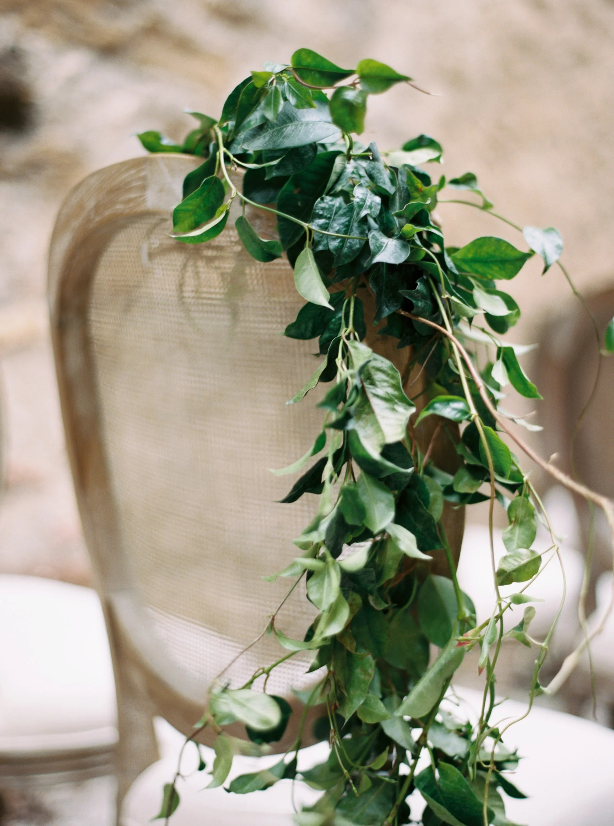 Katie Grant Photography (31 of 57).jpg