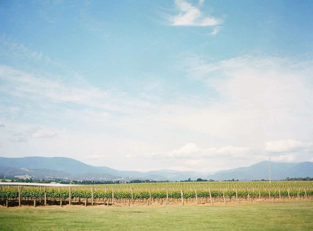KatieGrantPhotography(29of79).jpg