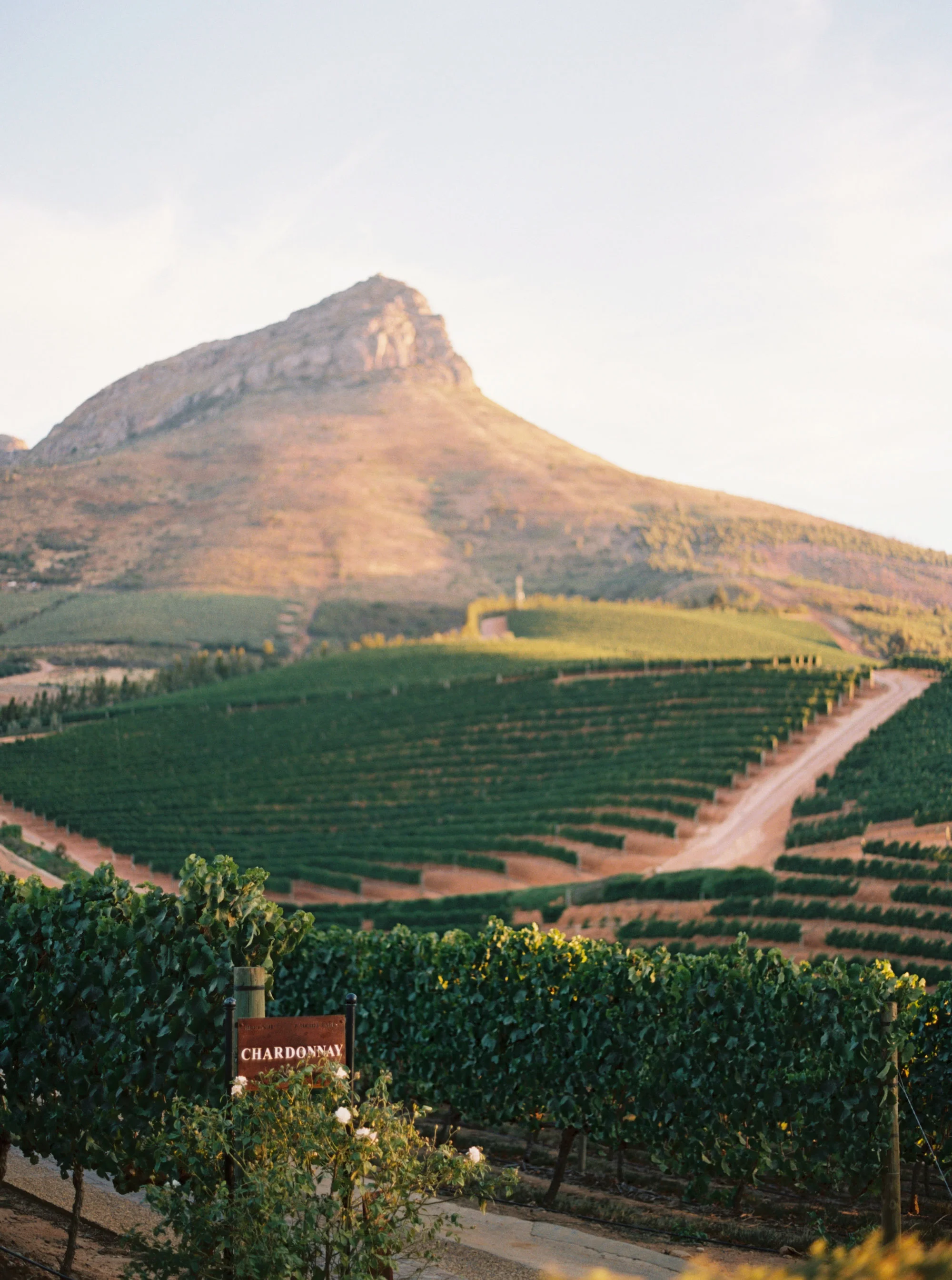Katie Grant Photography (150 of 680).jpg