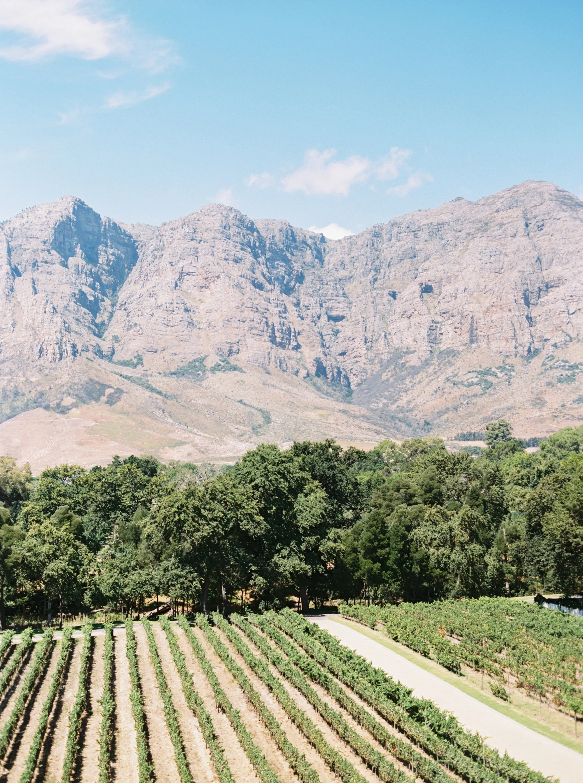 Katie Grant Photography (187 of 680).jpg