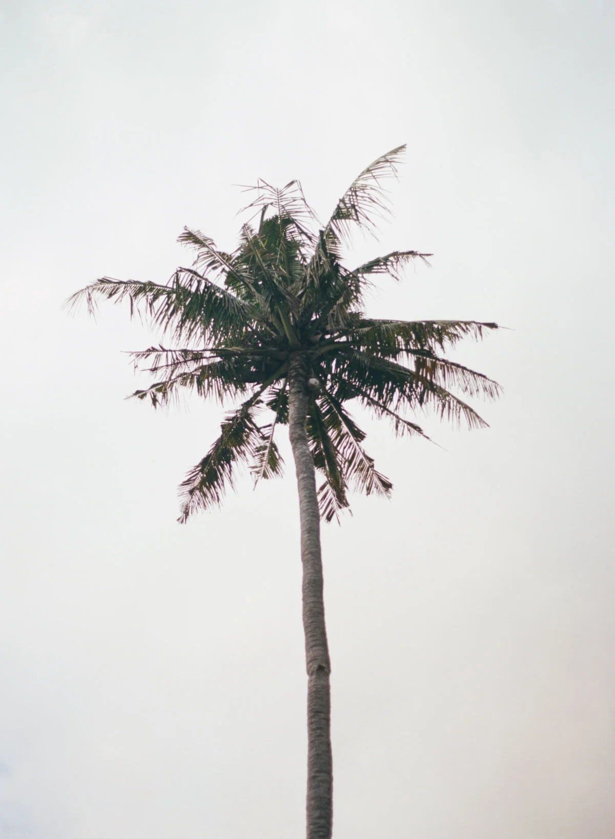 BaliDestinationWeddingKatieGrantPhoto(43of60).jpg