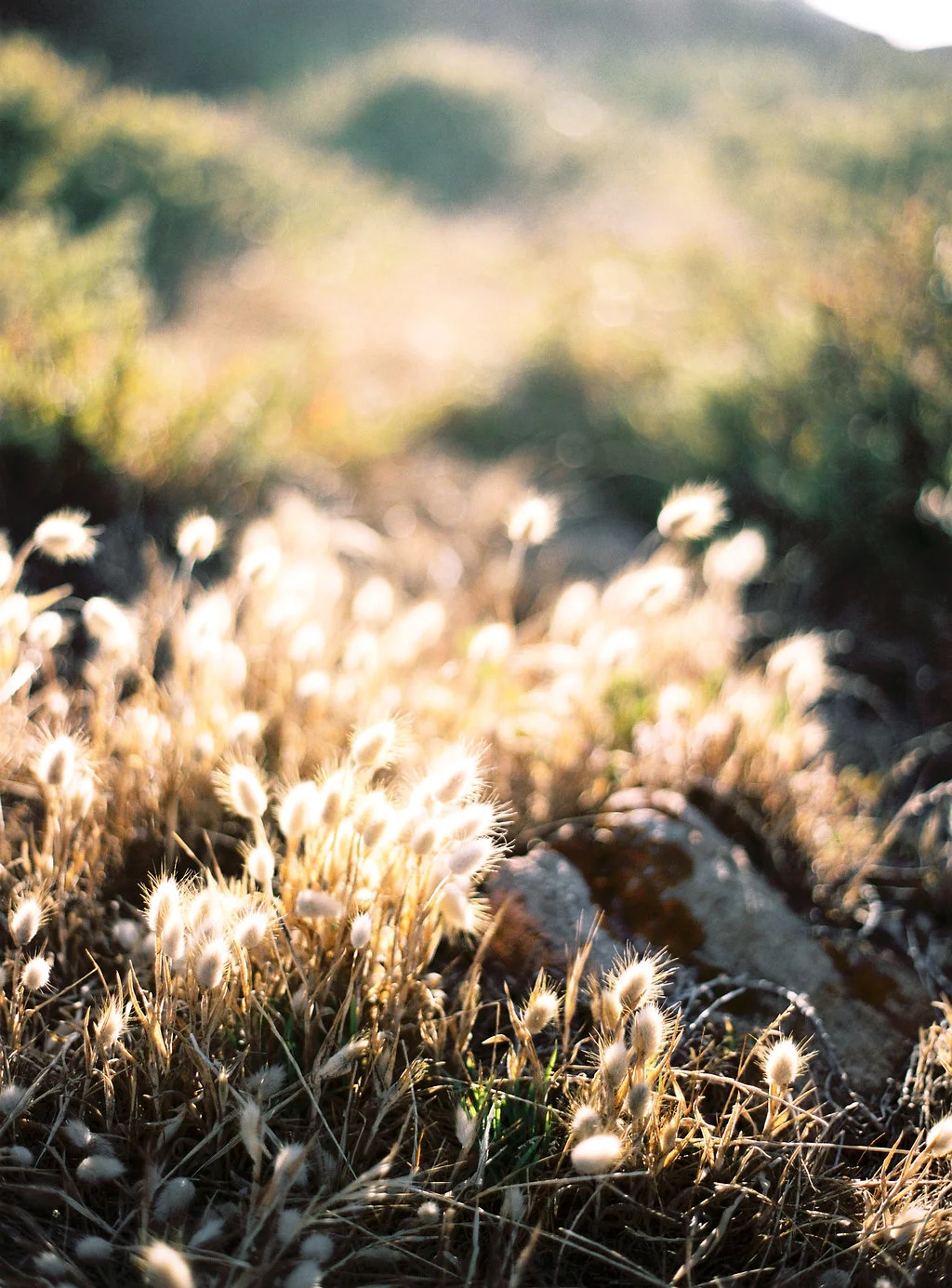 KatieGrantPhotography(25of188).jpg