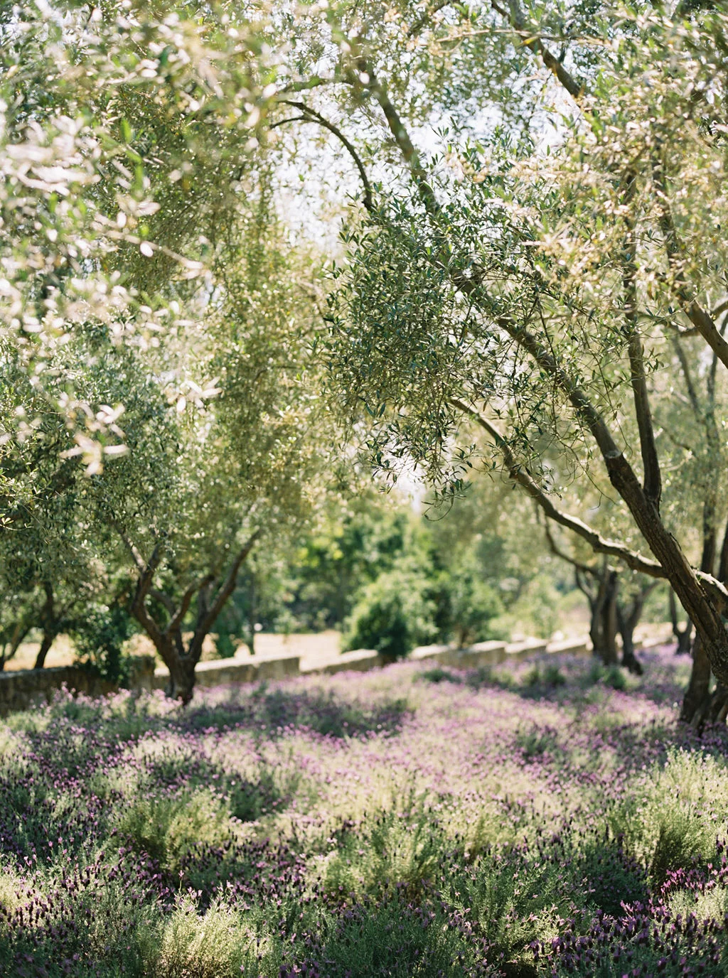 KatieGrantPhotography(3of54).jpg
