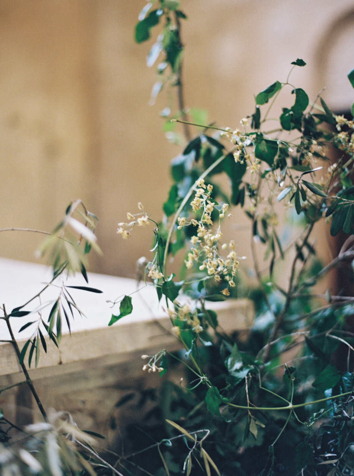 La-Badia-di-Orvieto-Umbria-Wedding-Katie-Grant-destination-wedding (28 of 88).jpg