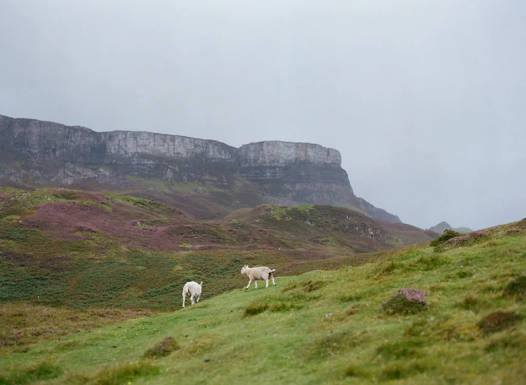 Scotland-Prewedding-highlands-castle-Engagment-Photos-Katie-Grant (26 of 139).jpg