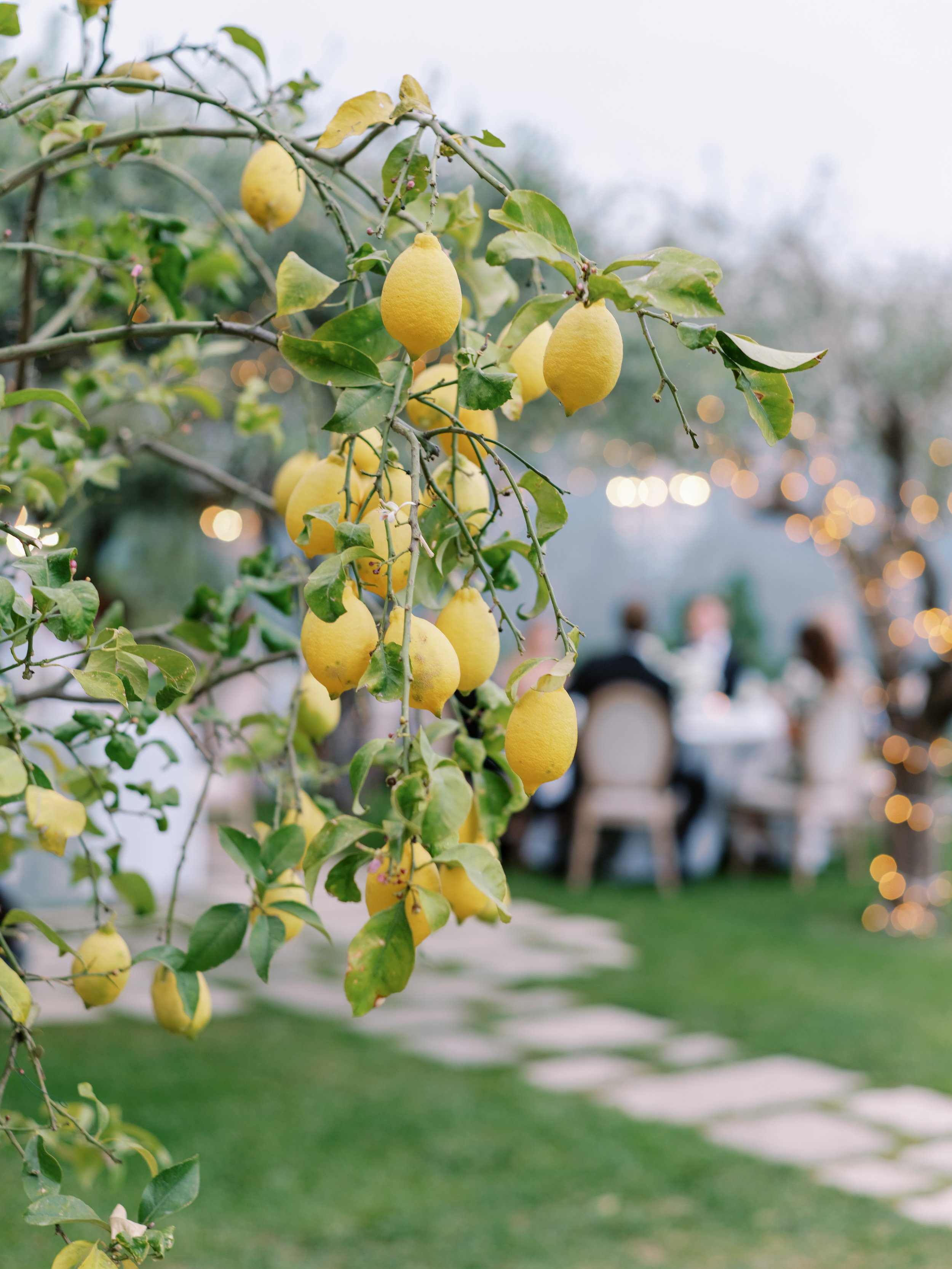 Katie-Grant-Photo-Caruso-Ravello-Wedding-Photographer(754of995).jpg