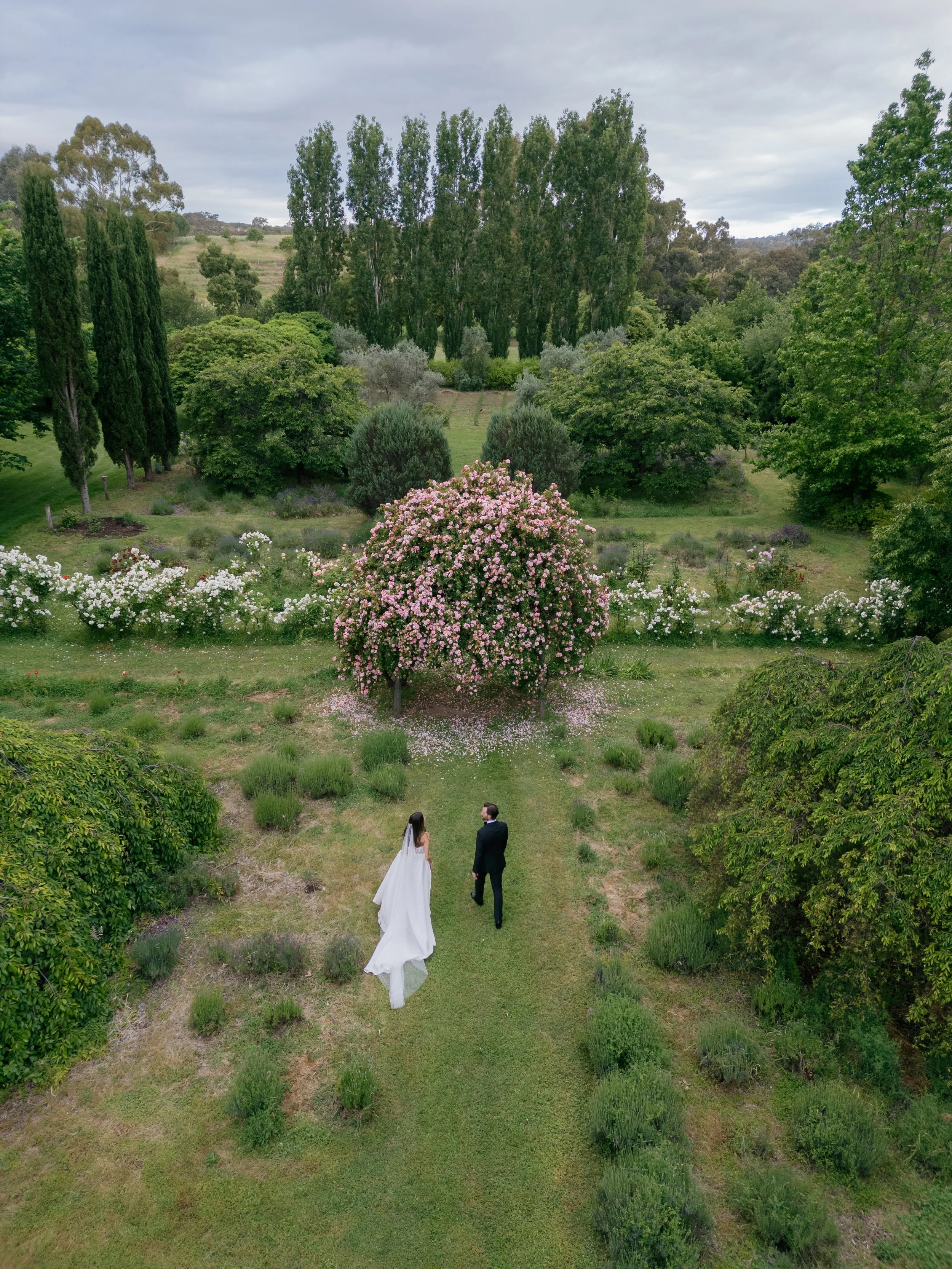 Tracey and Greg || Lavendula Farm, Daylesford Wedding